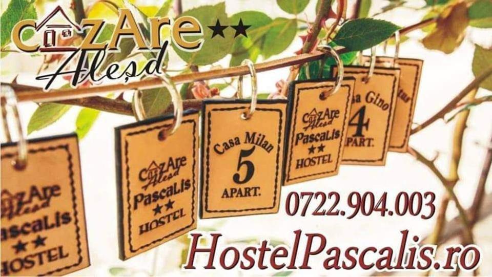 Hostel Pascalis Alesd Extérieur photo